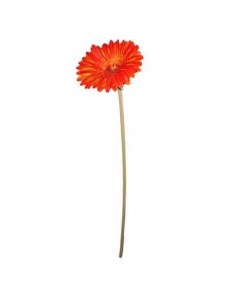 Искусственный цветок Гербера реалистик 44 см Flatel