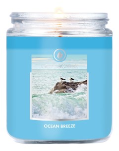 Ароматическая свеча Ocean Breeze Океанский бриз свеча 198г Goose creek