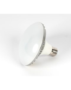Лампа L E27 LED светодиодная 25 Вт Е27 Fst