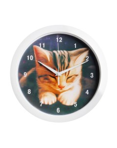 Часы настенные серия Животный мир Котёнок плавный ход d 28 см Соломон