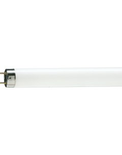 Люминесцентная лампа 36W 4000K G13 T8 36W 33 640 TL D Philips