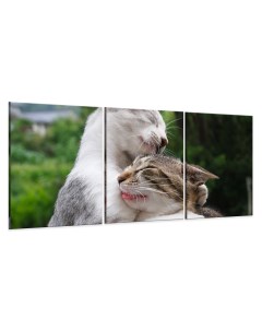 Модульная картина Ласковые котики 67х156 см Добродаров