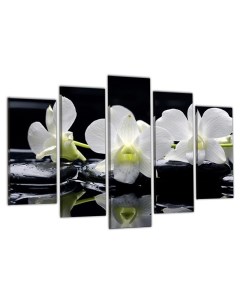 Модульная картина на холсте Белые орхидеи Цветы 80х140 см Добродаров