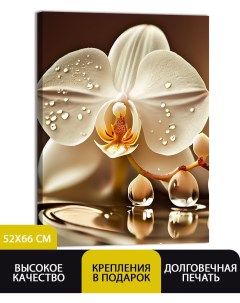 Картина Белая орхидея 52х66 см V0368 Добродаров