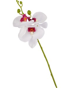 Искусственная ветка Орхидеи Без бренда