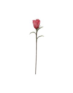 Искусственный цветок протея chuangxin 80 см Linyi