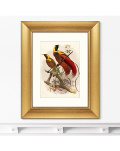 Репродукция картины в раме Красная райская птица 1880г Размер картины 40 5х50 5см Картины в квартиру