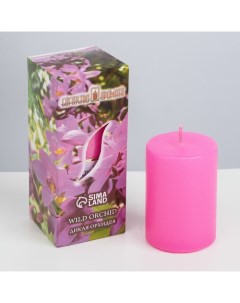 Ароматическая свеча Дикая орхидея 4x6 см в коробке Богатство аромата