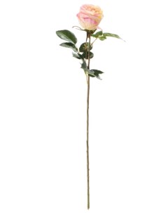 Искусственный цветок Роза Герцогиня крем персиковая Most flowers