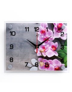 Часы настенные серия Интерьер Орхидеи плавный ход 20 х 26 см Рубин