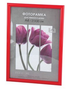 Фоторамки для фотографий Светосила Радуга 21x30 Красный со стеклом Habika