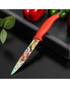 Нож с антиналипающим покрытием Урожай универсальный лезвие 12 5 см Доляна