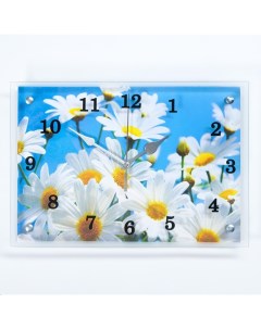 Часы настенные серия Цветы Ромашки 25х35 см Сюжет