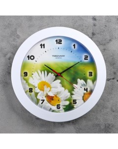 Часы настенные Цветы Ромашки белый обод 30х30 см Troyka