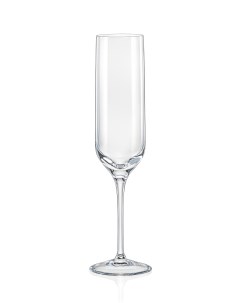 Набор бокалов для шампанского UMMA 6шт 200мл Bohemia