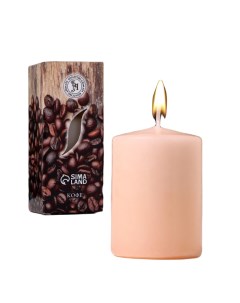 Свеча ароматическая Кофе 4x6 см в коробке Богатство аромата