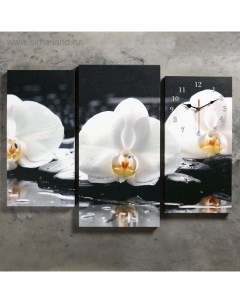 Часы настенные модульные Белые орхидеи на камнях 60 x 80 см Сюжет