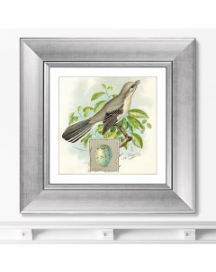 Репродукция картины в раме Птицы винтажная почтовая открытка 3 1918г 35 5х35 5см Картины в квартиру
