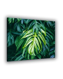 Картина 52х66 Пальмовые листья К 0007 2 Добродаров