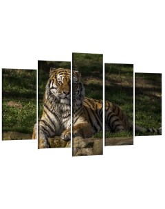 Модульная картина Тигр 80х140 см Добродаров