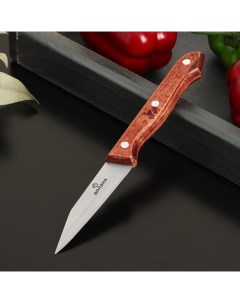 Нож овощной Ecology лезвие 8 5 см нержавеющая сталь Доляна