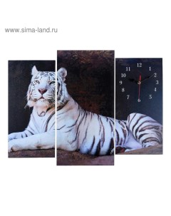 Часы настенные модульные Белый тигр 60 x 80 см Сюжет