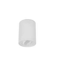Накладной светильник белый Pantaleo OML 101009 01 Omnilux