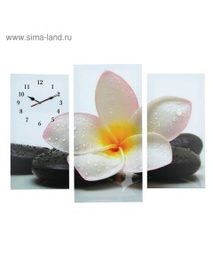 Часы настенные модульные Цветок на камнях 60 x 80 см Сюжет