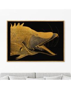 Репродукция картины на холсте Great Hog Fish 1754г 75х105см Картины в квартиру