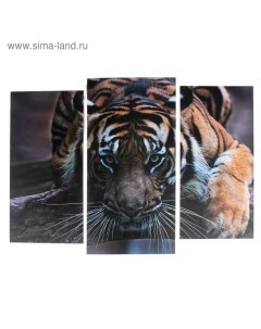 Модульная картина Тигровый взгляд 2 25х52 1 30х60 60х80 см Nobrand