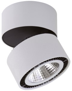Накладной светодиодный светильник Forte Muro 213839 Серый Черный Lightstar