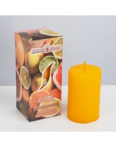 Ароматическая свеча Цитрусовое удовольствие 4x6 см в коробке Богатство аромата