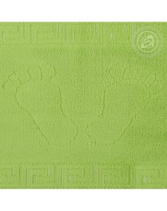 Коврик на резиновой основе Ножки Зеленый 45 х 65 размер Артпостель