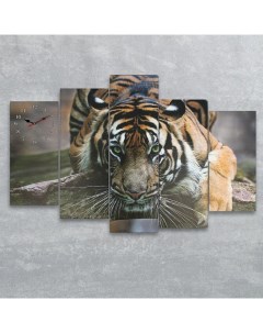 Часы настенные модульные серия Животный мир Тигр 80х140 см Сюжет