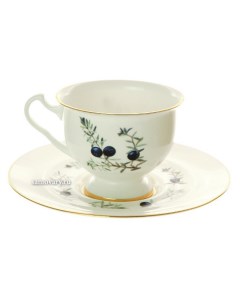 Чашка с блюдцем чайная форма Айседора рисунок Шикша Императорский фарфоровый завод