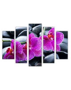 Модульная картина на холсте Цветы орхидея абстракция 80х140 см Добродаров