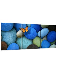 Модульная картина Бабочка среди камней 67х156 см Добродаров