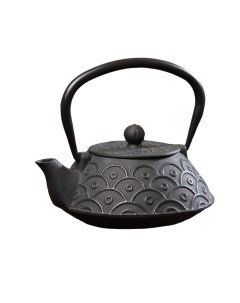 Чайник чугунный Джана 900 мл с ситом цвет чёрный Доляна