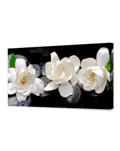Картина на холсте Белые цветы 50х100 см Topposters