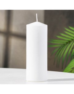 Свеча цилиндр 5х15 см белая Богатство аромата