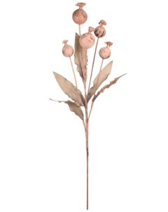 Искусственный цветок Мак светло коричневый 105 см Вещицы