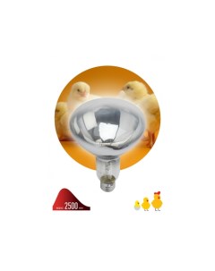Инфракрасная зеркальная лампа ЭРА ИКЗ 220 250 R127 E27 с прозрачной колбой 15 360 Nobrand