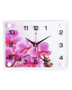 Часы настенные меxанические Розовая орxидея 22 5x20 см 21 век