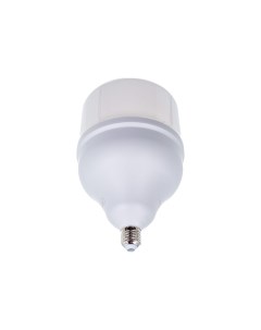 Lighting Systems Светодиодная лампа Высокомощная HPL 80W E27 694200 General