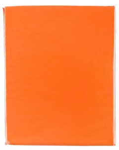 Простыня 985 555 цвет Оранжевый 220x220 Santalino