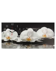 Часы серия Цветы на холсте Белые орхидеи 40х76 см Сюжет