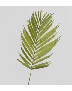 Искусственное растение TR 632 Пальмовый лист Art east