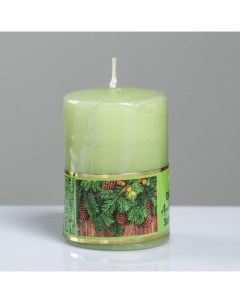 Свеча ароматическая Хвойный лес 4x6 см в коробке Богатство аромата