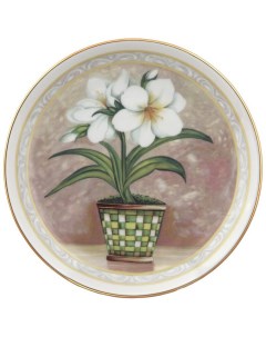 Тарелка декоративная 21 см настенная Домашний цветок 1 158851 Leander