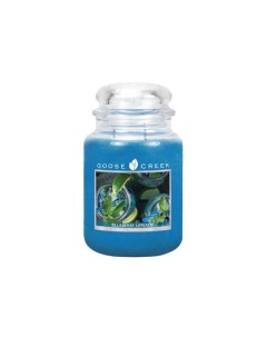 Ароматическая свеча Blueberry Limeade 75ч ES16473 vol Goose creek